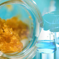 Exploring Full Spectrum Terpene and Cannabinoid Extracts