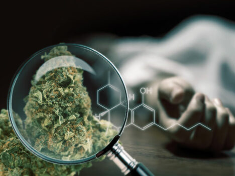 Louisiana coroner claims first-ever cannabis overdose — but some disagree