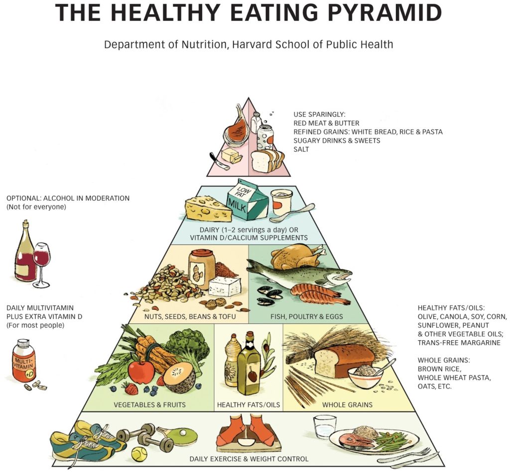 food pyramid harvard