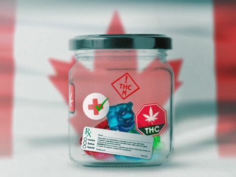 Cannabis edibles in Canada will be sold by mid December, Health Canada reveals final rules