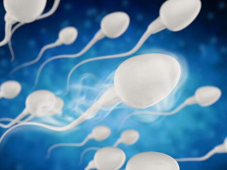How Cannabis Impacts Male Fertility? What The Latest Research Studies Reveal