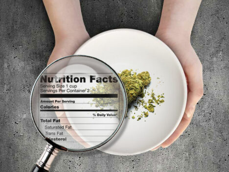 What’s The Nutritional Value of Marijuana?