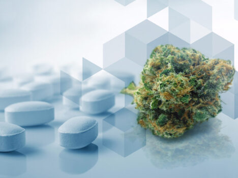 Researchers pave way for potential cannabis-based painkiller 30 times stronger than aspirin