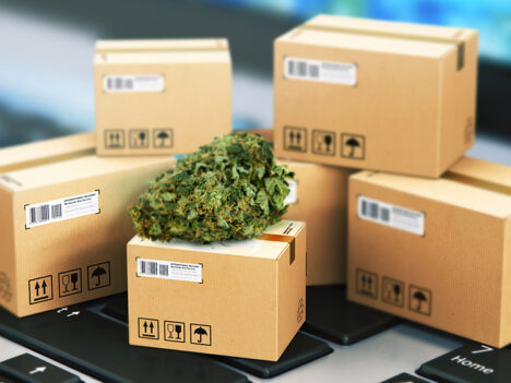 Is Canada’s Cannabis Packaging Excessive?