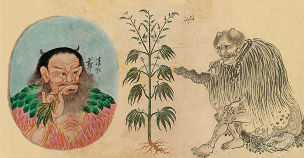 medical cannabis is ancient china