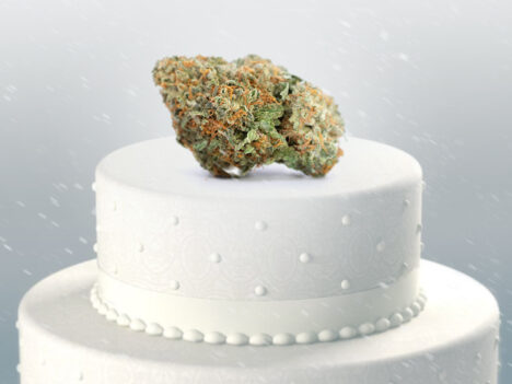 Wedding Cake Strain: Does It Make It Rain?