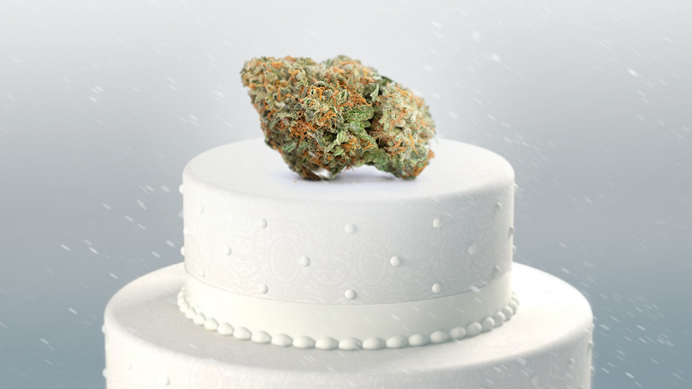 Wedding Cake Strain Wedding Cake Strain - Wedding Cake Strain