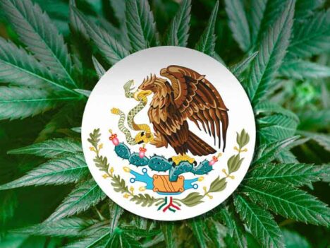 Mexico inches closer to marijuana legalization