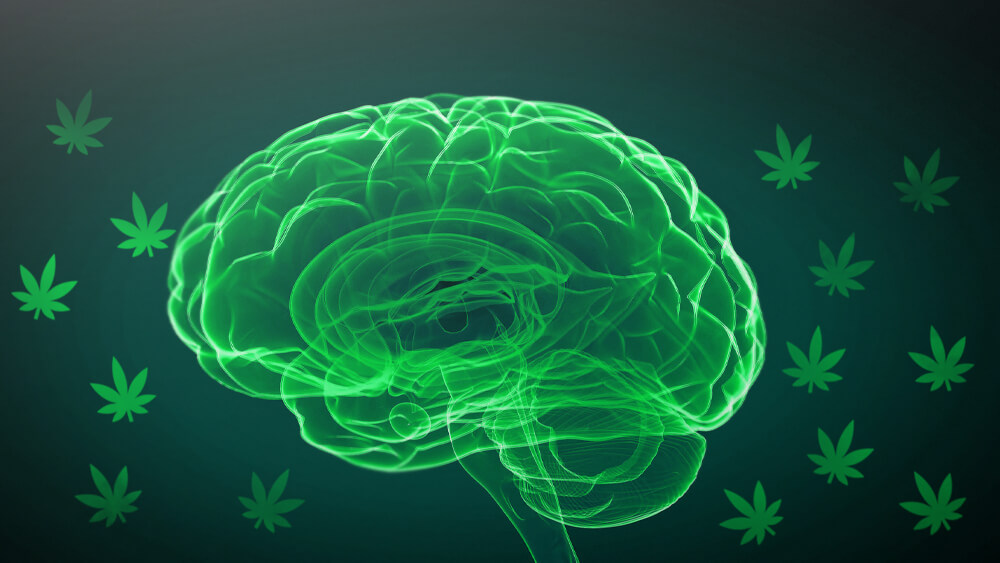 Cannabis-for-autism-study