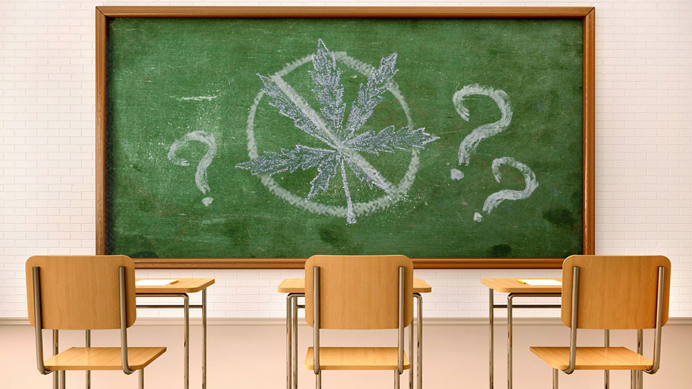 University-cannabis-course