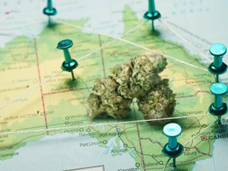 Canberra becomes the first Australian city to legalize cannabis