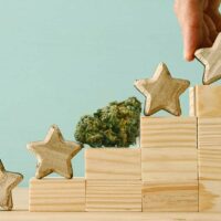 Which Are The Best Sativa Strains in 2019? Try Our Top 7 Picks