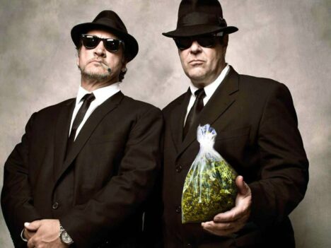 Jim Belushi, Dan Aykroyd announce Blues Brothers cannabis brand