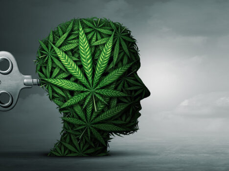 Cannabis Induced Psychosis – Symptoms, Causes, and How to Treat It