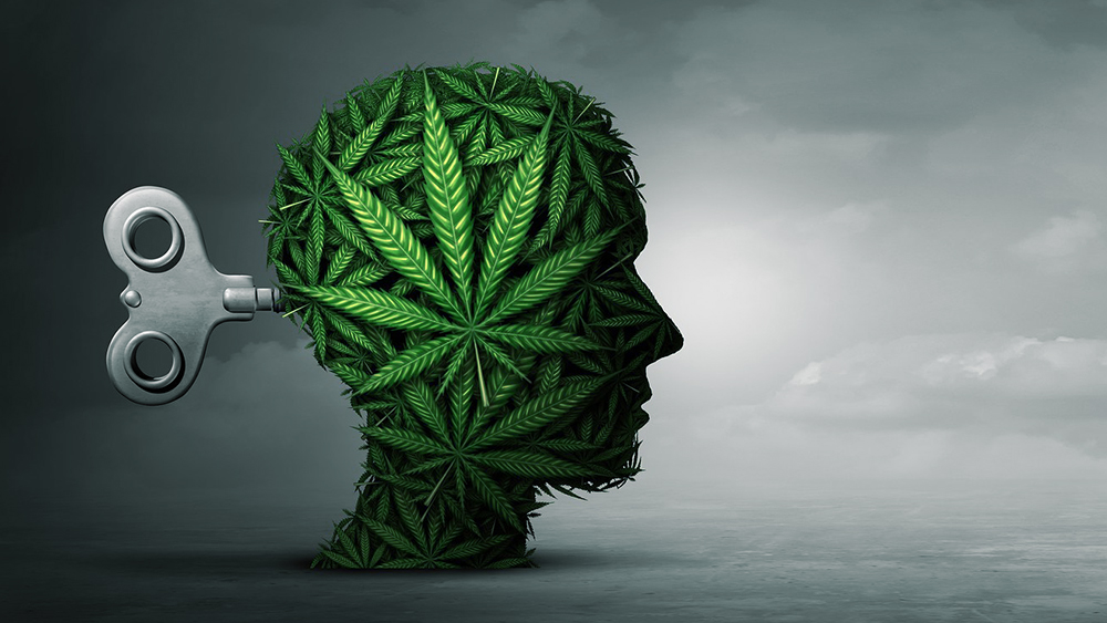 Cannabis induced psychosis