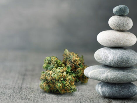 Cannabis Wellness: Why Is Weed Branded As a Wellness Product?