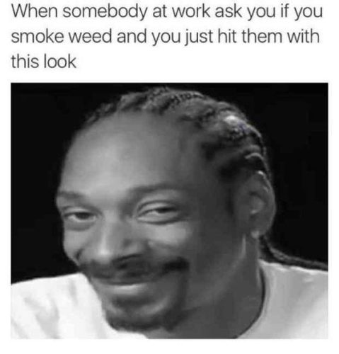 10 Best Weed Memes Walk You Through a Stoner's Day