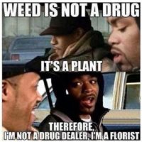 10 Best Weed Memes Walk You Through a Stoner's Day