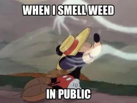 When I smell weed in public