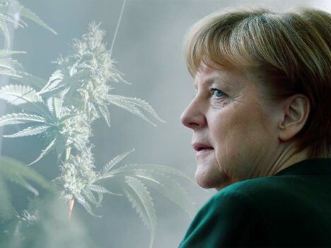 German conservatives appear to loosen stance on marijuana