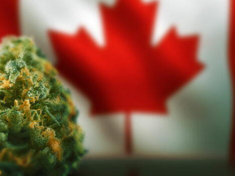 Legalization in Canada: The first 12 months