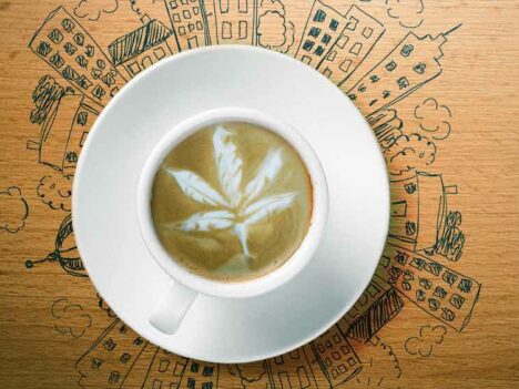 America’s first cannabis cafe opens in LA