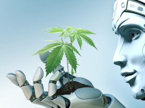 AI helping booming cannabis industry evolve even faster