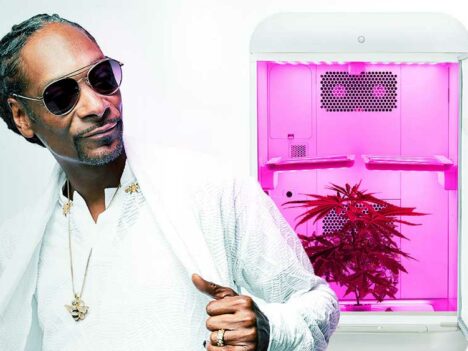 Snoop Dogg partners with Israel cannabis start-up Seedo