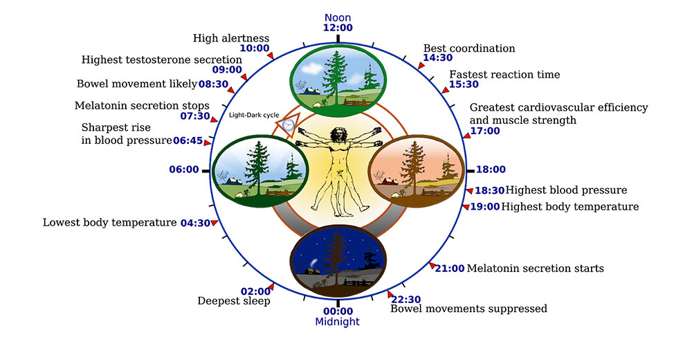 Melatonin Age Chart