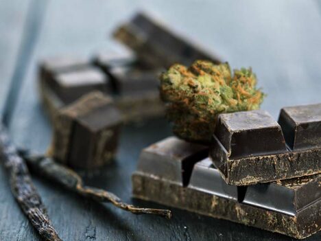 Cannabis Chocolate 101: How-To Recipe and Helpful Tips