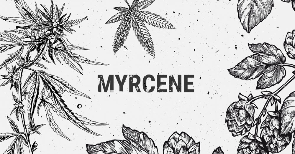 Myrcene