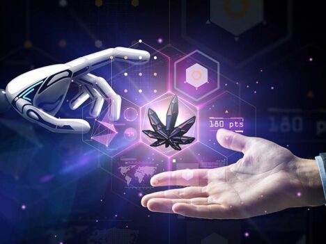 The Present and Future of Cannabis Research