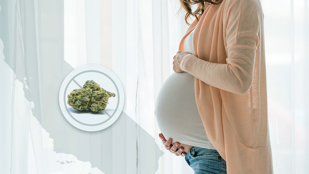 THC-for-pregnancy