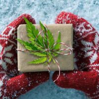 The Greencamp Cannabis Gift Guide for Holiday Season 2019