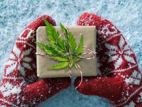 The Greencamp Cannabis Gift Guide for Holiday Season 2019
