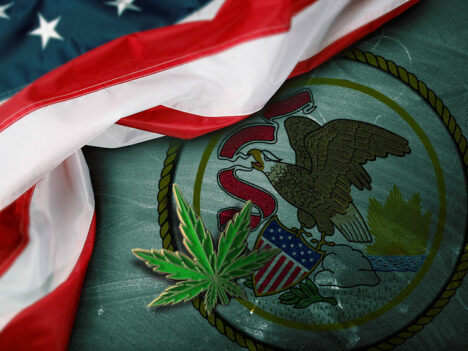 Illinois prepares for recreational marijuana this New Year’s