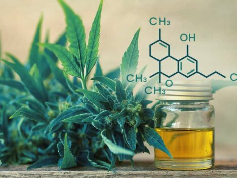 How to Make THC Oil for Medical and Recreational Purposes