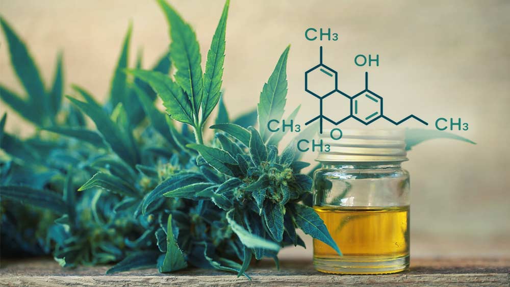 How to Make THC Oil for Medical and Recreational Purposes