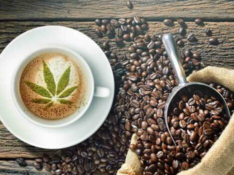 How Caffeine and Weed Interact