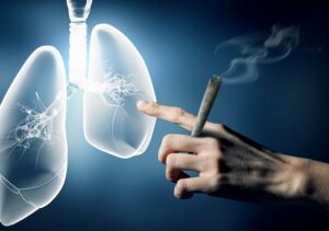 Marijuana and Bronchitis: Are They Compatible?