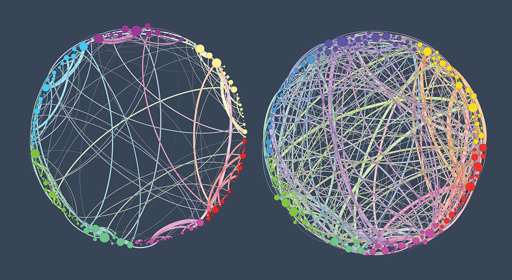 Neural connections