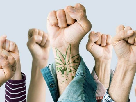 All You Ever Wanted to Know About Cannabis Activism (If You Knew It Existed)
