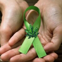 Cannabis and Cancer – The Obstacles to Providing Better Care to Cancer Patients