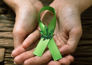 Cannabis and Cancer – The Obstacles to Providing Better Care to Cancer Patients