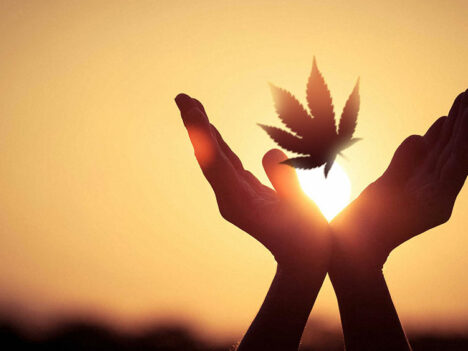 Cannabis and Spirituality – A Quest for Elusive Knowledge