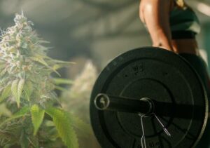 Marijuana and Weightlifting: Perfect Combination for Improved Focus and Muscle Growth