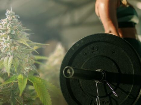 Marijuana and Weightlifting: Perfect Combination for Improved Focus and Muscle Growth