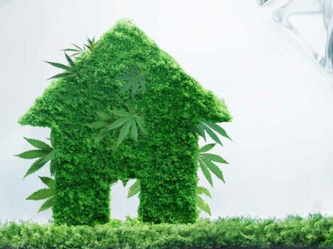 Hemp Houses: A More Sustainable Way to Build and a Healthier Way to Live