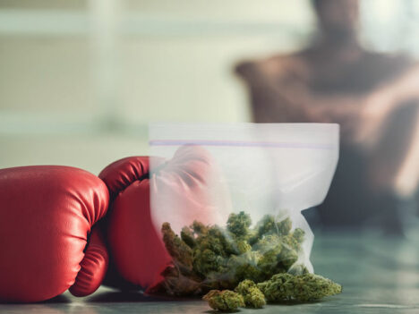 COLUMN: I Got Sweaty at a Boxing Weed Event and Loved It