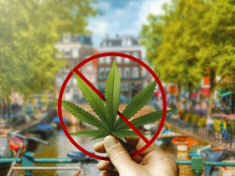 Amsterdam mulls ban on tourists buying marijuana